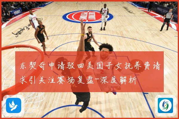 东契奇申请驳回美国子女抚养费请求引关注赛场复盘-深度解析