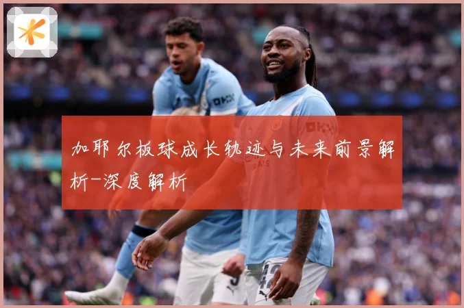 加耶尔板球成长轨迹与未来前景解析-深度解析