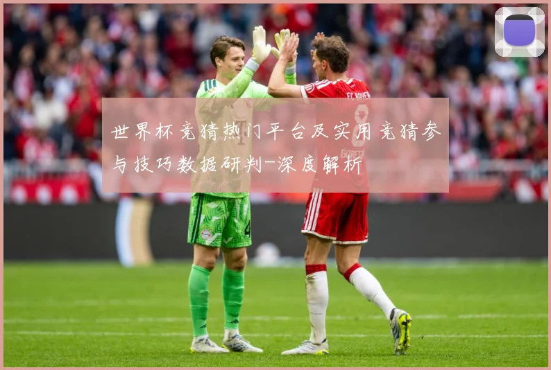 世界杯竞猜热门平台及实用竞猜参与技巧数据研判-深度解析