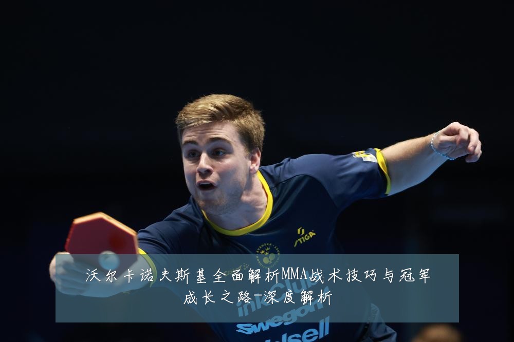 沃尔卡诺夫斯基全面解析MMA战术技巧与冠军成长之路-深度解析