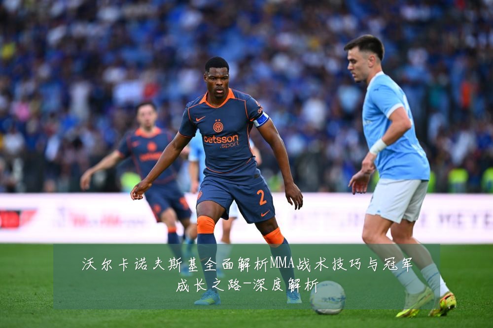 沃尔卡诺夫斯基全面解析MMA战术技巧与冠军成长之路-深度解析