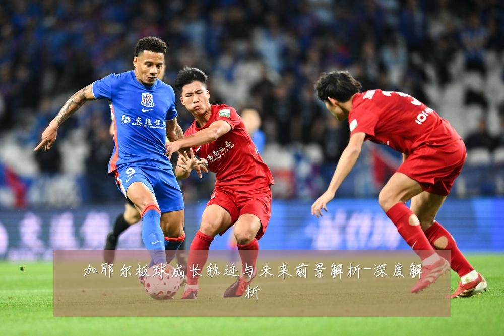 加耶尔板球成长轨迹与未来前景解析-深度解析